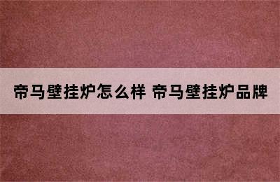 帝马壁挂炉怎么样 帝马壁挂炉品牌